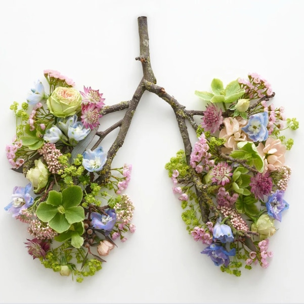 Stress, trauma en angst beïnvloeden direct je lichaam, waarbij de ademhaling als eerste verandert: je houdt vaak onbewust je adem in