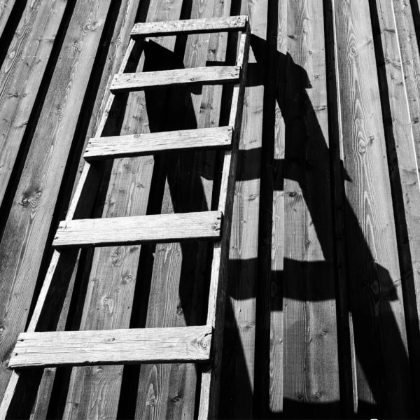Door de polyvagaal theorie toe te passen tijdens lichaamsgerichte therapie leer je je zenuwstelsel beter begrijpen, je reacties bewust te sturen en je vermogen tot emotionele regulatie te versterken. Door herhaling en bewuste aandacht ontwikkel je stap voor stap meer veerkracht en ruimte om vrijer te leven.