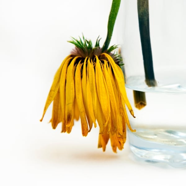 Wat zijn symptomen van onzekerheid? Soms is onzekerheid een tijdelijk gevoel. Maar het kan ook uitgroeien tot somberheid, eenzaamheid, (sociale) angst of faalangst. Onzekerheid kan zich op diverse manieren en in verschillende situaties uiten. Het kan zelfs zo zijn dat onzekerheid op één gebied doorwerkt op andere vlakken. Zo kan twijfel over je functioneren op het werk je zelfvertrouwen in je relatie beïnvloeden.