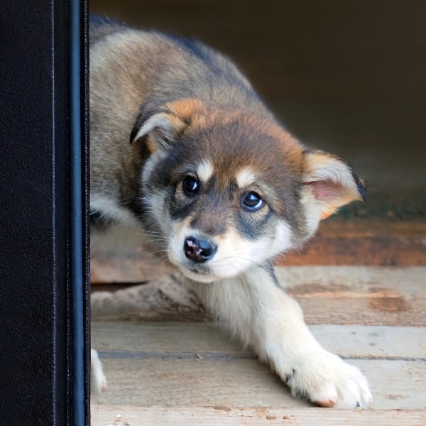 Angst is een emotie die iedereen kent. Het is een signaal van je lichaam en geest dat er ergens een waargenomen of vermeende dreiging is. Je zenuwstelsel reageert door alert te worden, sneller te ademen en spieren te spannen - klaar om te vechten of te vluchten.
